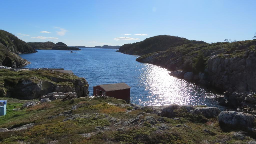 The Old Salt Box Co. - Daisy'S Place Herring Neck Экстерьер фото